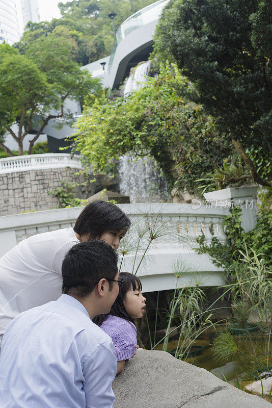 中国家庭看龟和鱼，香港公园