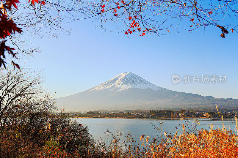 富士山和川口湖