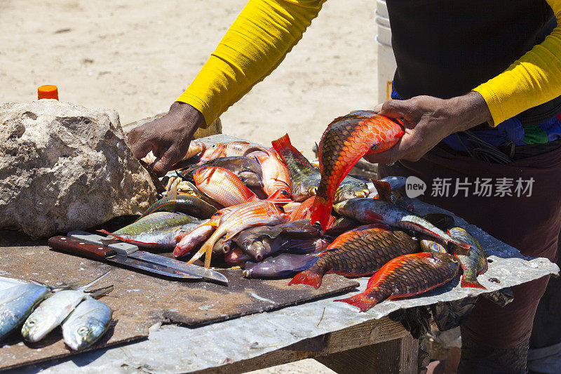 海滩上的加勒比鱼市