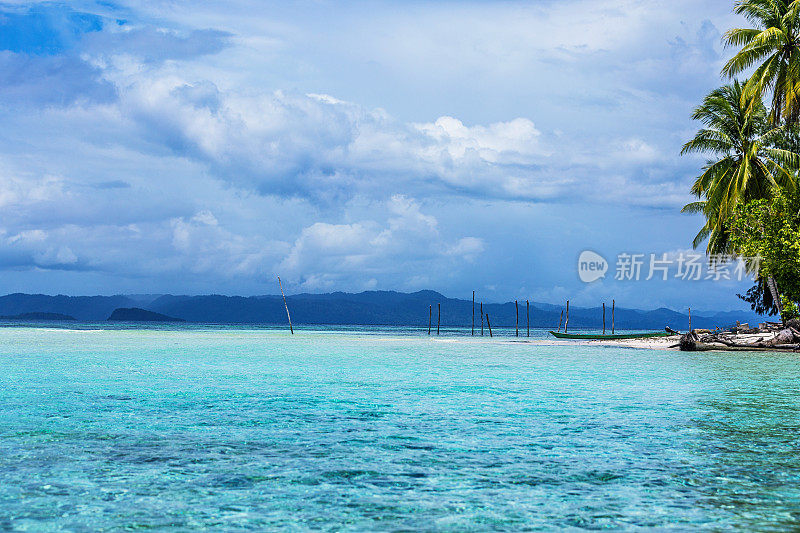 热带海滩上的棕榈树和小屋