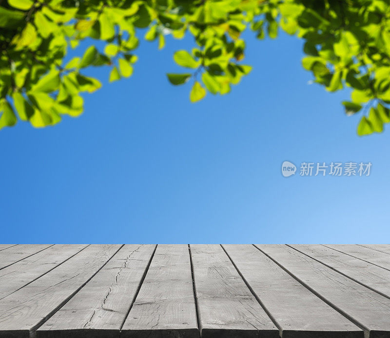 空木平台和绿色树叶散焦抽象背景