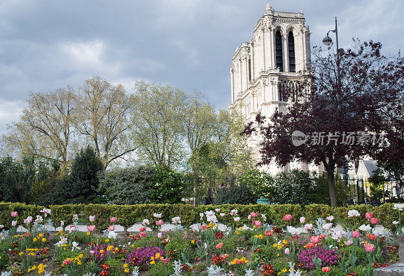 巴黎圣母院，春暖花开