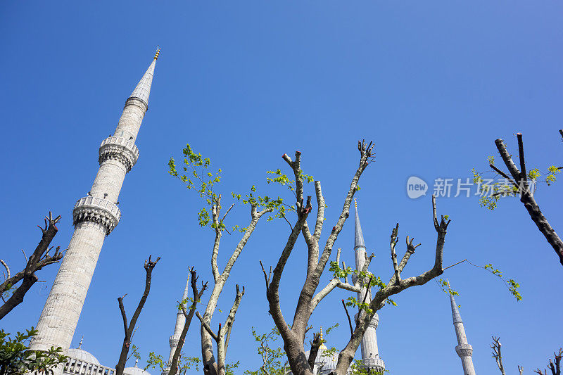 苏丹艾哈迈德清真寺，蓝色清真寺。伊斯坦布尔。火鸡