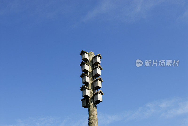 鸟屋空!