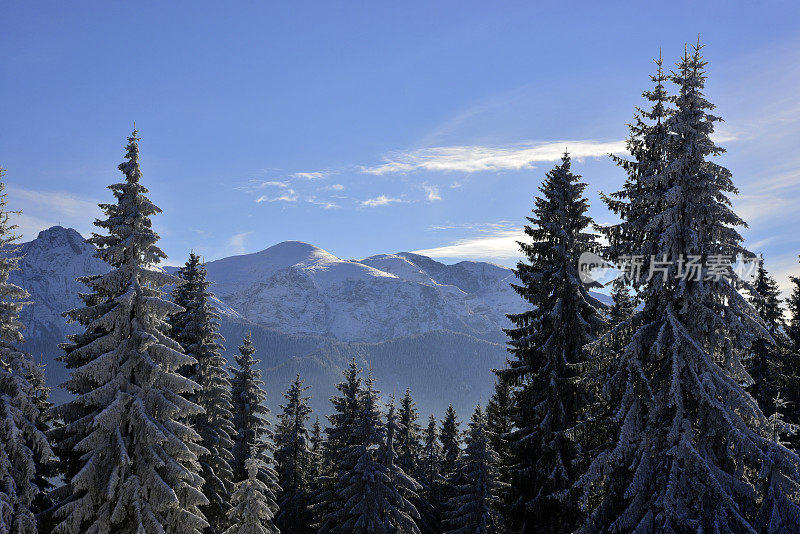 场景的雪山