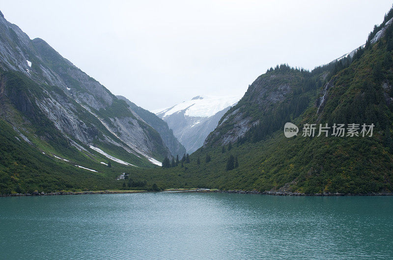 特蕾西海湾-阿拉斯加