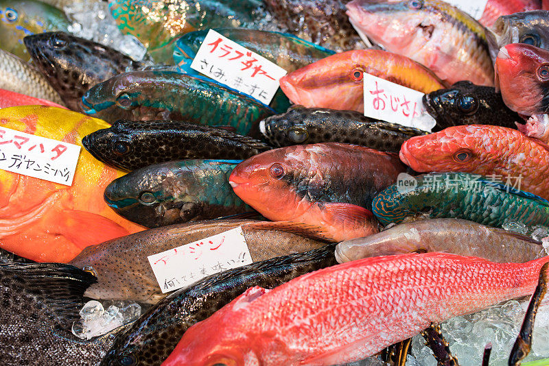 日本冲绳县公共市场上五颜六色的鱼