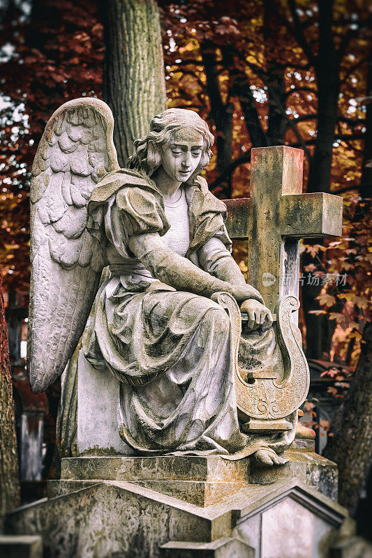 老Powązki公墓，华沙，波兰