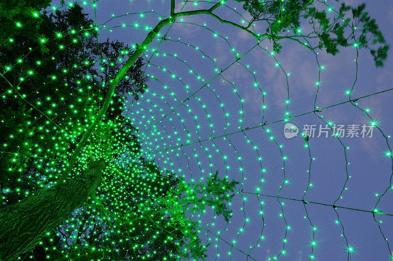 绿光装饰树的节日