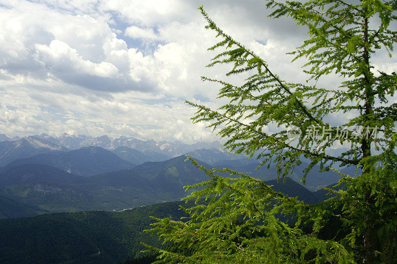 朗格里斯的《布劳内克山脉