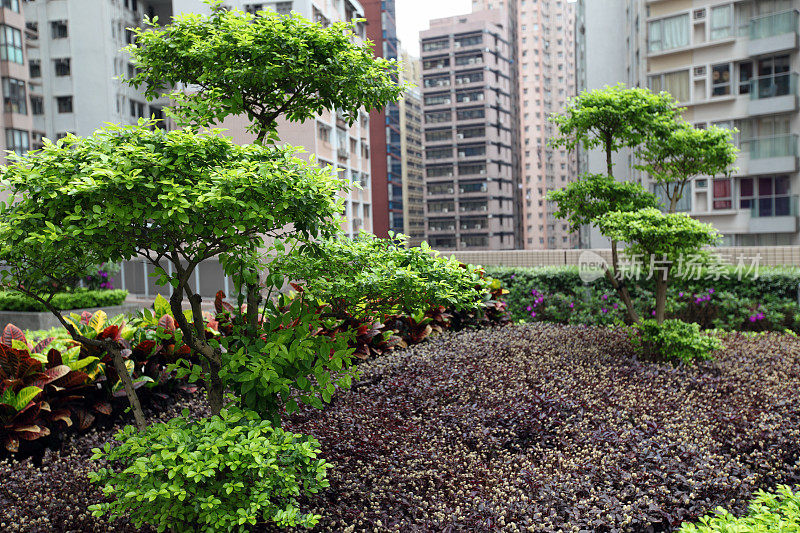 丰富多彩的城市花园