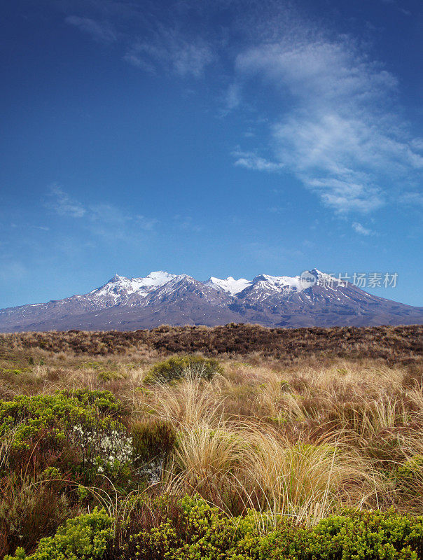 Ruapehu山的景色