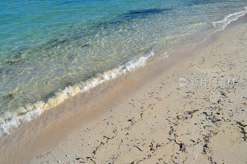 海滩上的特写镜头