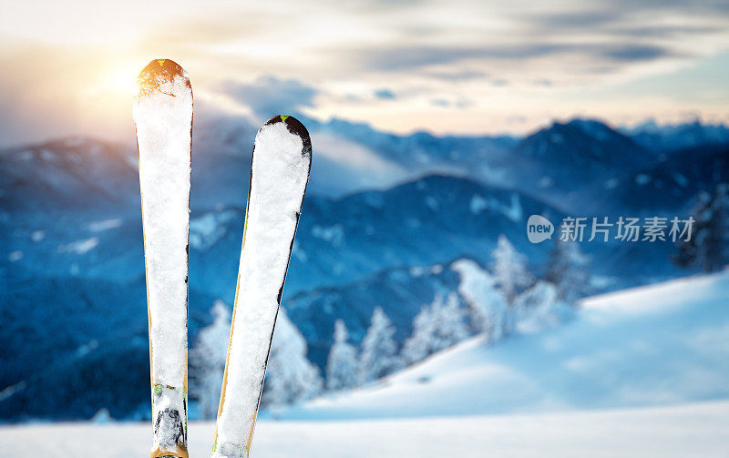 在滑雪坡顶