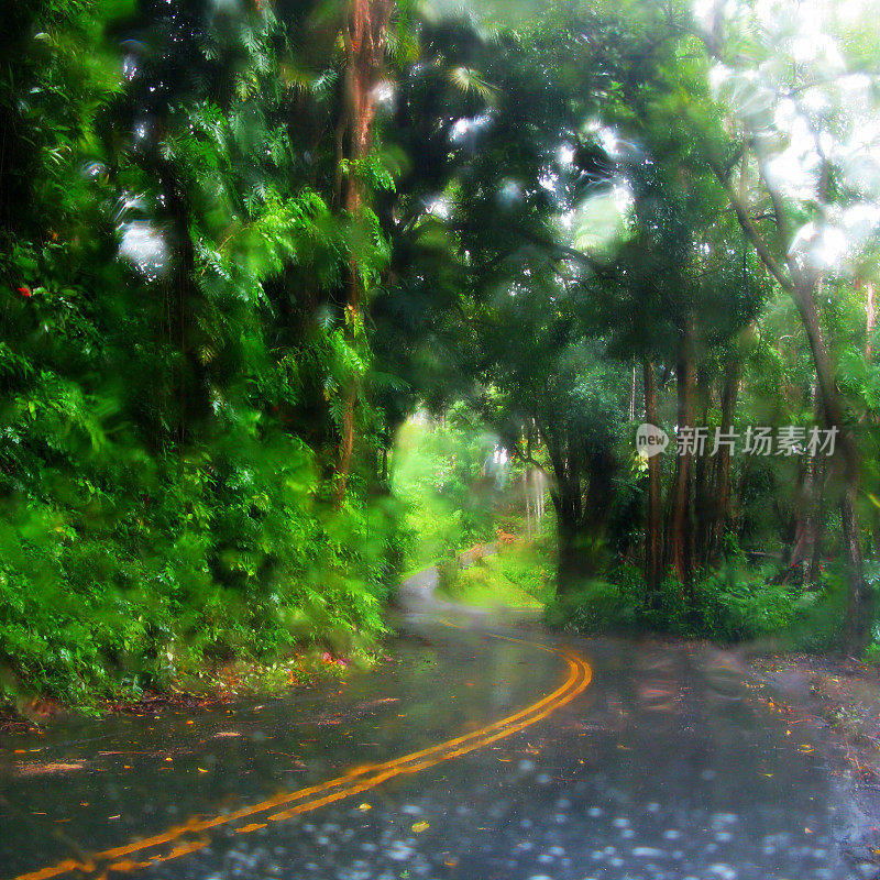夏威夷希洛热带雨林中的潮湿蜿蜒的道路