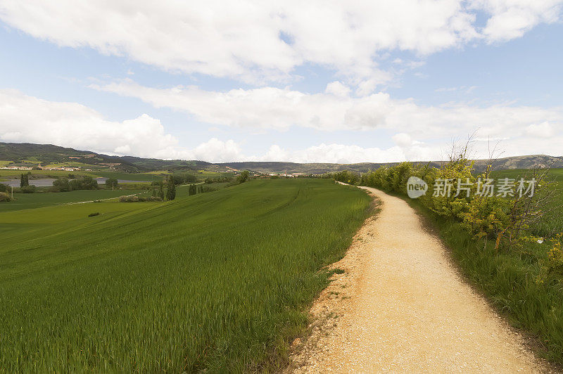 圣地亚哥德孔波斯特拉路全景，纳瓦拉，西班牙