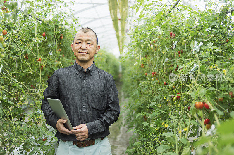 温室里的成年农民肖像