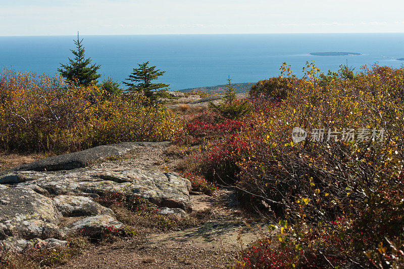 卡迪拉克山，阿卡迪亚国家公园