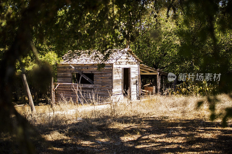 美国德克萨斯州希尔县的废弃旧木屋。