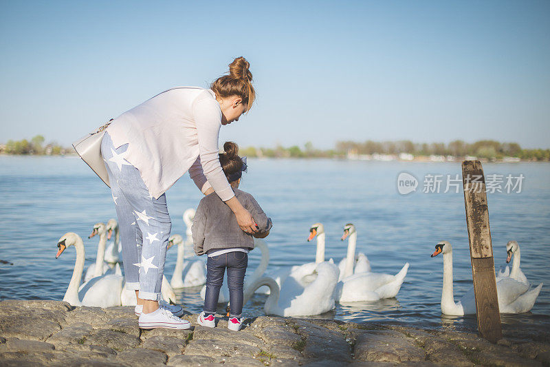 母亲和女儿站在满是天鹅的湖边