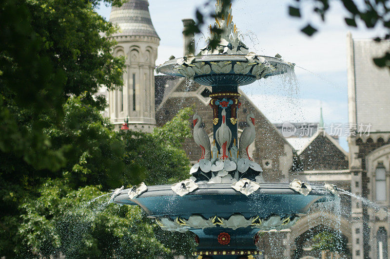 植物园的孔雀喷泉