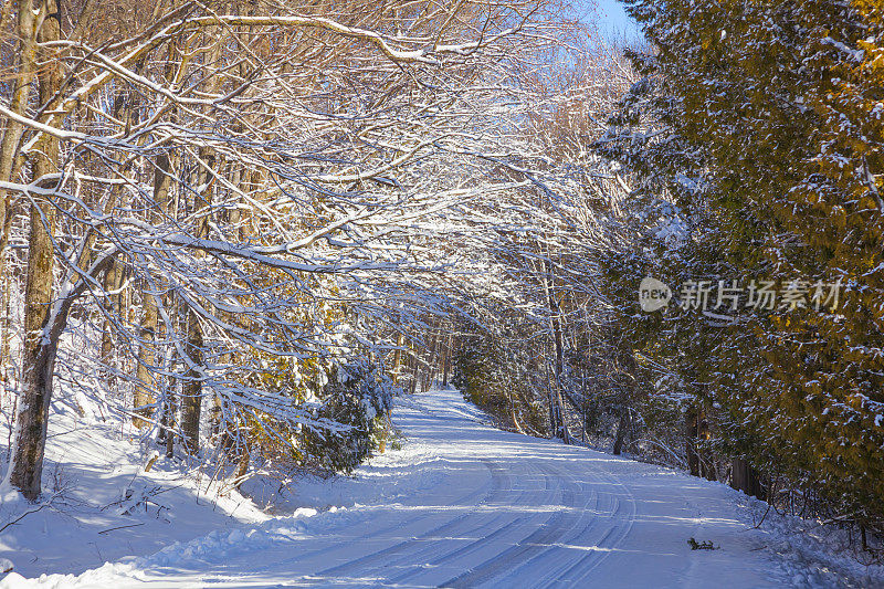 风景公路进入冰雪覆盖的树木冬季仙境