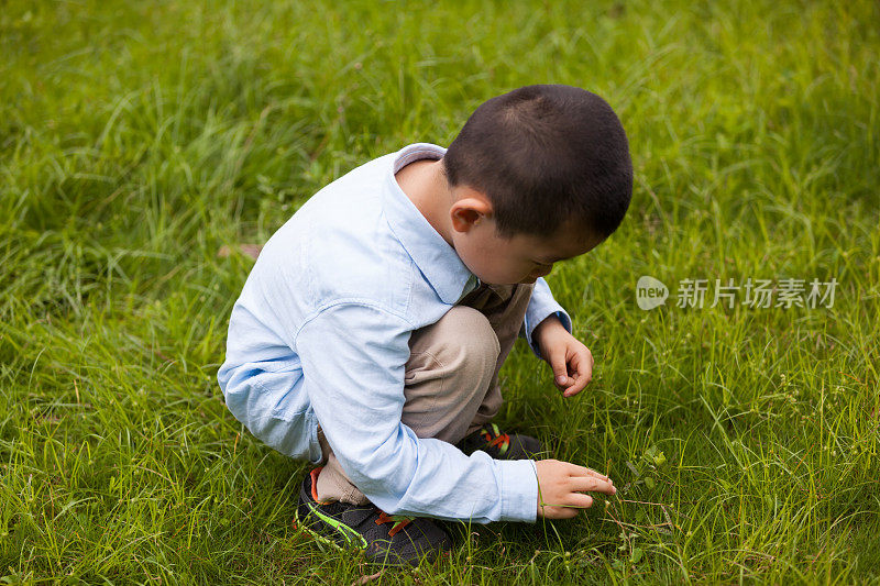 幼儿触摸天然植物