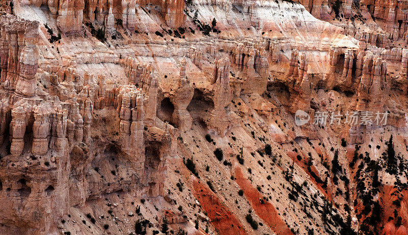 大峡谷的岩石