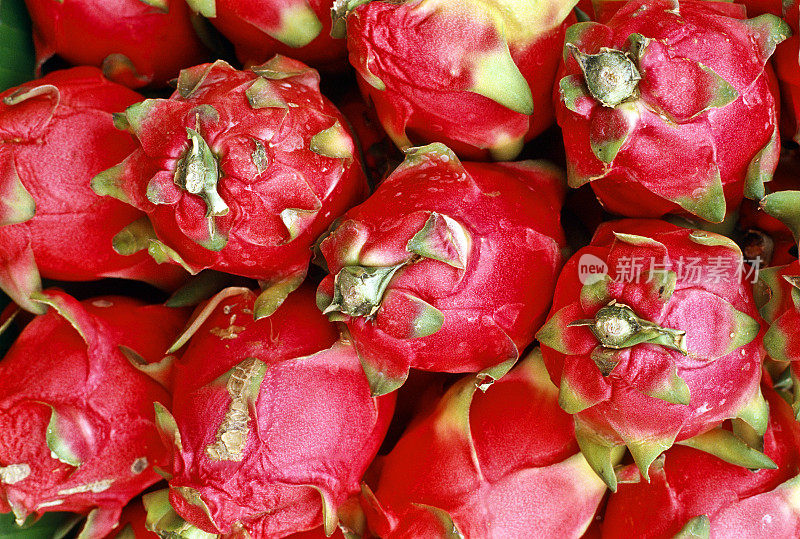 柬埔寨，金边，火龙果在市场上出售。