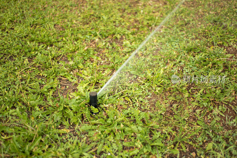 高角度的草坪洒水器浇灌草坪