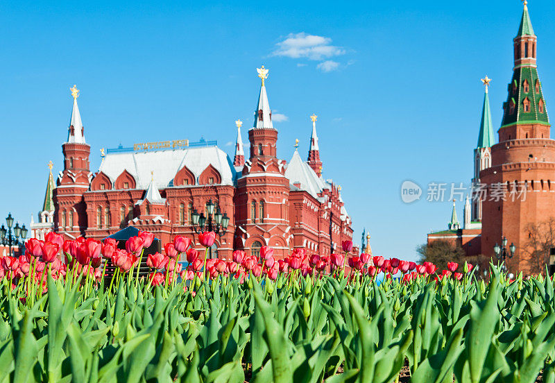 红场鲜花