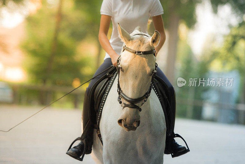 女人骑马