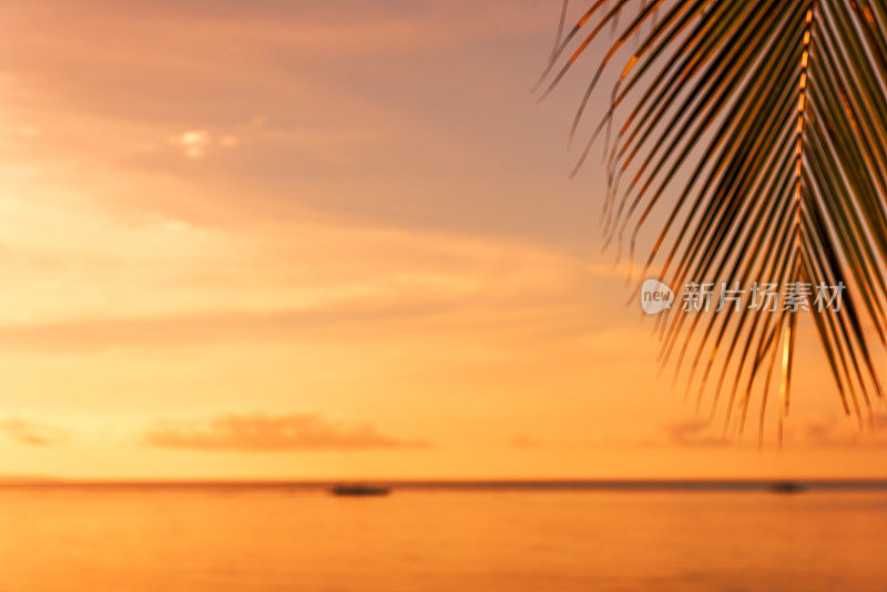 热带海滩日落模糊抽象背景