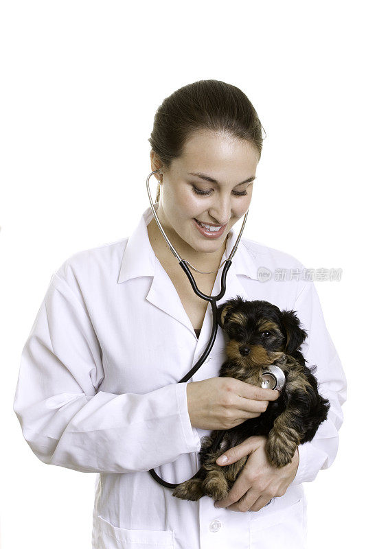 年轻的小狗和一个女兽医