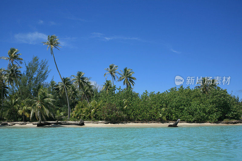 大溪地海滩