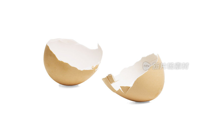 鸡蛋和蛋壳特写孤立在白色背景