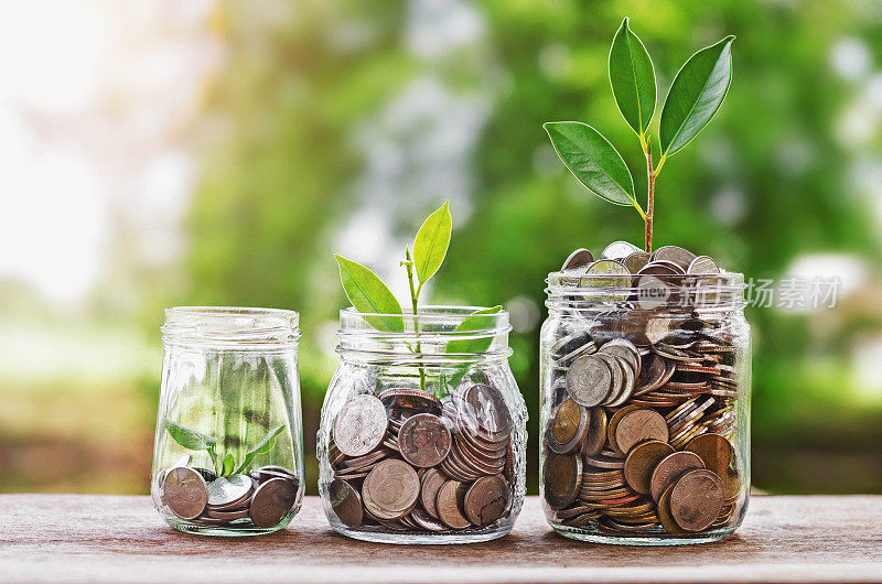 玻璃罐中植物生长币，投资金融理念，绿色自然阳光