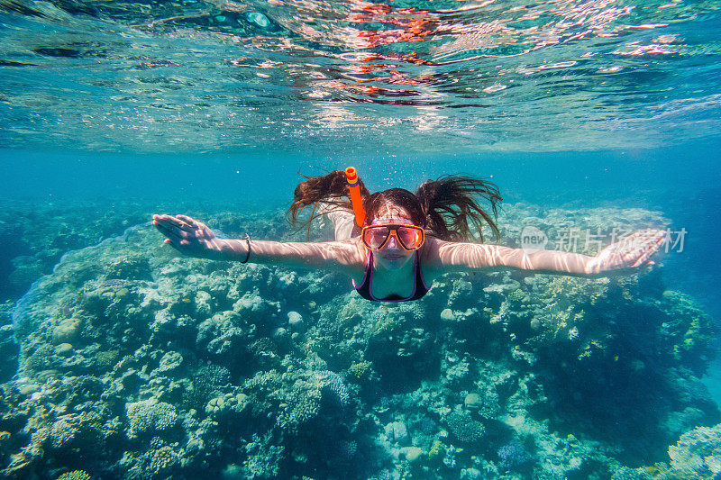 在珊瑚礁附近的红海里戴着面具潜水的女孩