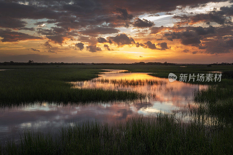 盐沼的金色小径