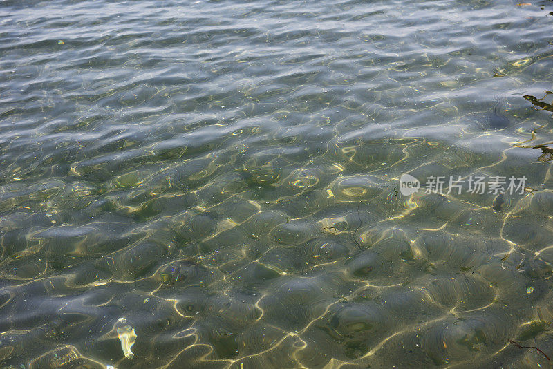 浅海的水面纹理背景