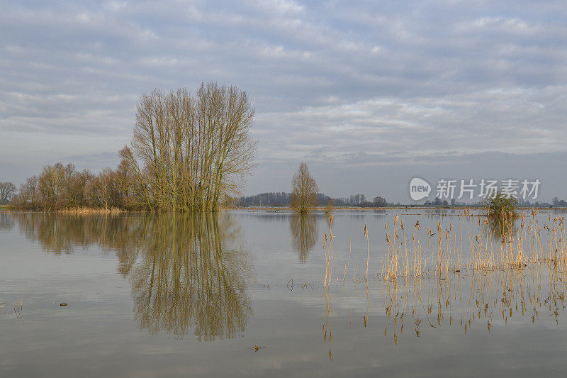 荷兰IJssel河溢流区发生洪水