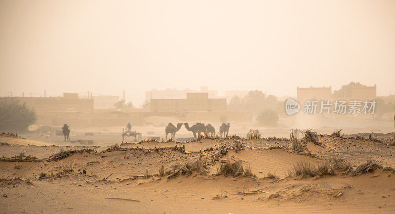 撒哈拉沙漠的沙漠风暴