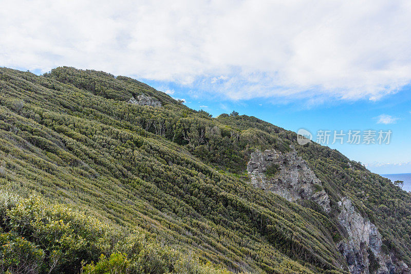 多岩石的海岸线