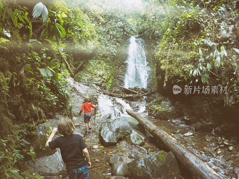 孩子们在丛林中探险