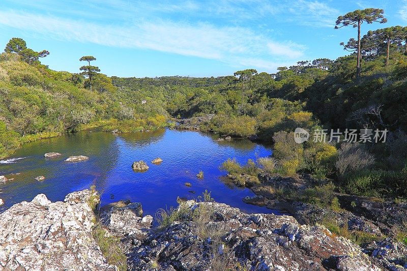 平静的湖反射和阿劳卡里亚日出，巴西南部景观