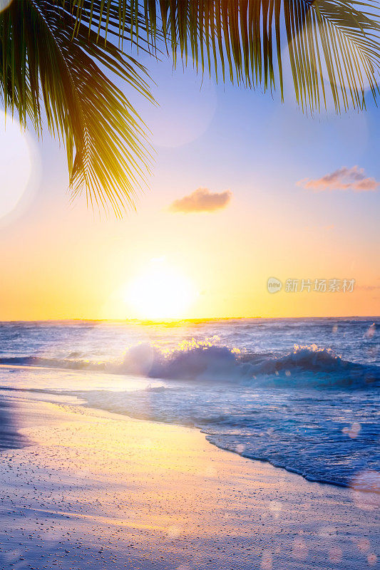 艺术暑假游;热带海滩上美丽的日落