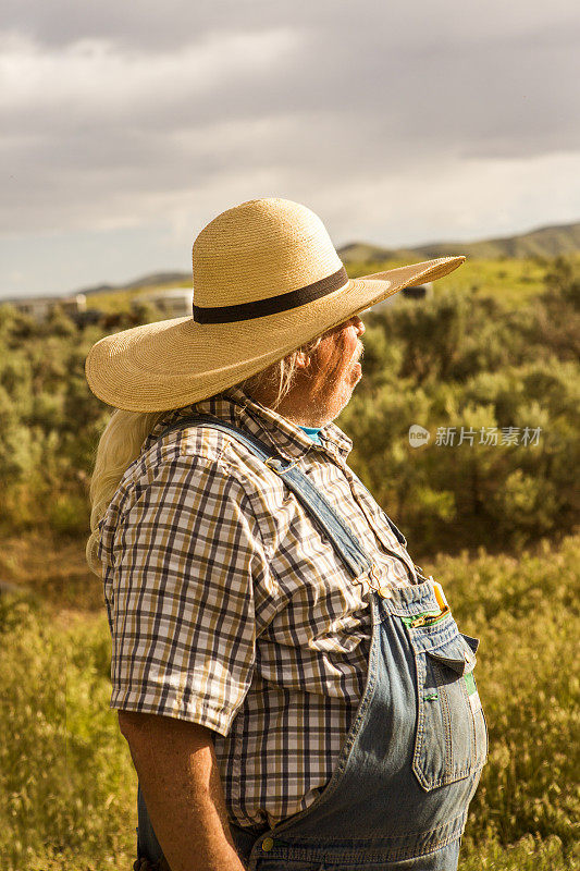 美国犹他州盐湖城附近的桑塔昆山谷内波山附近的老农民牛仔