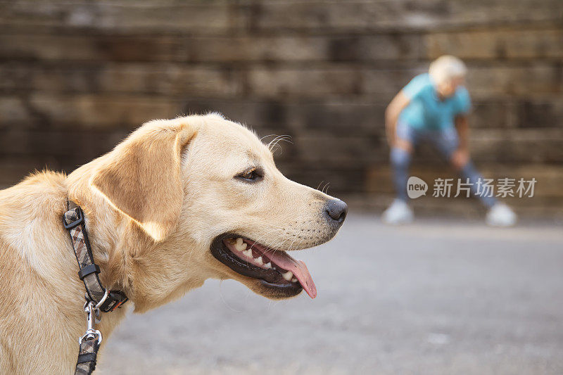 带着狗跑的女人