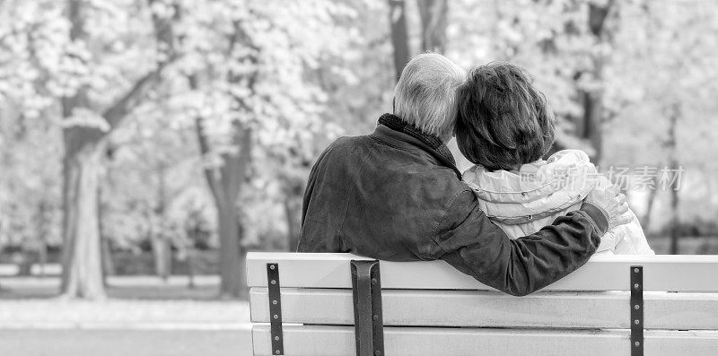 后视图老年夫妇坐在公园长椅上拥抱在秋天。