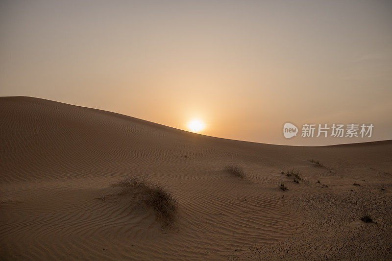 迪拜:阿拉伯沙漠上的日落